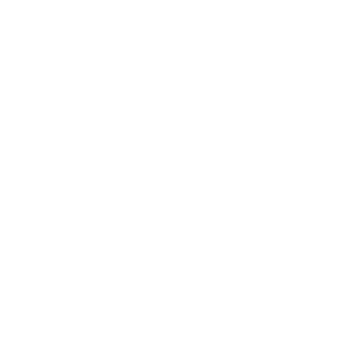 PINITZ Taller de Personalizacion Premium